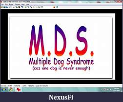 Click image for larger version

Name:	Dog related #5.jpg
Views:	265
Size:	244.6 KB
ID:	26615