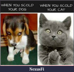 Click image for larger version

Name:	Capture.PNG
Views:	242
Size:	347.1 KB
ID:	279867