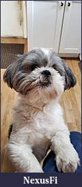 Click image for larger version

Name:	20200910_090437.jpeg
Views:	599
Size:	40.4 KB
ID:	304936