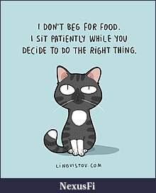 Click image for larger version

Name:	486788958.jpeg
Views:	521
Size:	41.4 KB
ID:	312659