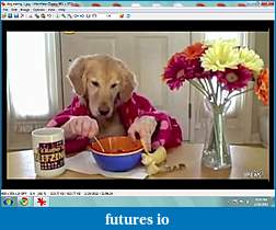 Click image for larger version

Name:	dog eating1.jpg
Views:	208
Size:	328.1 KB
ID:	31399
