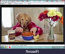 Click image for larger version

Name:	dog eating1.jpg
Views:	209
Size:	328.1 KB
ID:	31399