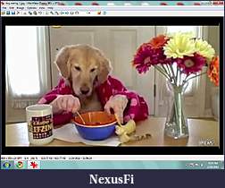 Click image for larger version

Name:	dog eating1.jpg
Views:	260
Size:	328.1 KB
ID:	31399