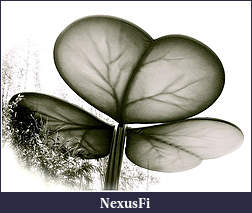 Click image for larger version

Name:	Blackclover.jpg
Views:	146
Size:	33.0 KB
ID:	314700