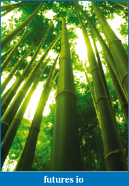 Click image for larger version

Name:	03_bambootree.png
Views:	199
Size:	170.8 KB
ID:	32173