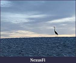 Click image for larger version

Name:	PXL_20220723_010044022.MP.jpg
Views:	111
Size:	3.22 MB
ID:	326053