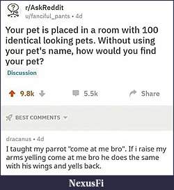 Click image for larger version

Name:	you-wanna-know-1.jpg
Views:	364
Size:	52.3 KB
ID:	327264