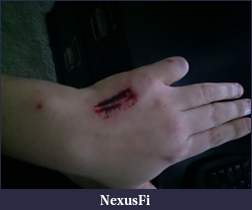 Click image for larger version

Name:	C360_2011-03-21 12-18-57.jpg
Views:	345
Size:	180.3 KB
ID:	34426