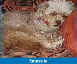 Click image for larger version

Name:	DOG012.jpg
Views:	104
Size:	845.9 KB
ID:	34618