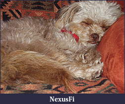 Click image for larger version

Name:	DOG012.jpg
Views:	184
Size:	845.9 KB
ID:	34618
