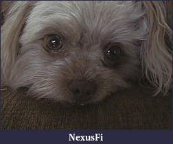 Click image for larger version

Name:	1 Dog 002.jpg
Views:	269
Size:	185.1 KB
ID:	34619