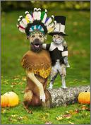 Click image for larger version

Name:	Cat in the Hat.bmp
Views:	308
Size:	896.3 KB
ID:	3980