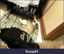 Click image for larger version

Name:	110711-211118.jpg
Views:	286
Size:	72.5 KB
ID:	43099