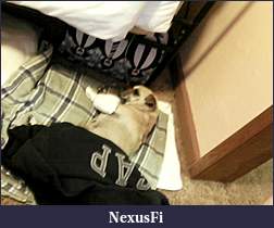 Click image for larger version

Name:	110711-211120.jpg
Views:	275
Size:	75.3 KB
ID:	43100
