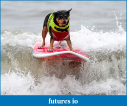 Click image for larger version

Name:	dog riding surfboard.png
Views:	123
Size:	885.3 KB
ID:	50326