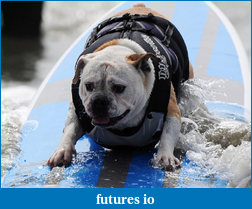 Click image for larger version

Name:	dog surfing.png
Views:	112
Size:	857.6 KB
ID:	50328