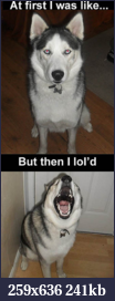 Click image for larger version

Name:	10.20.2011-18.59.05.png
Views:	290
Size:	240.9 KB
ID:	52742