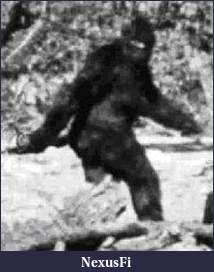 Click image for larger version

Name:	bigfoot.jpg
Views:	576
Size:	15.5 KB
ID:	53414