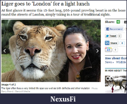 Click image for larger version

Name:	liger.png
Views:	252
Size:	684.2 KB
ID:	60885