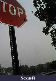 Click image for larger version

Name:	2012-08-02_07-54-39_471.jpg
Views:	187
Size:	485.1 KB
ID:	83481