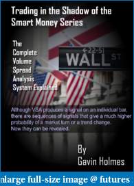 VSA for ThinkorSwim-vsa_system_explained.pdf