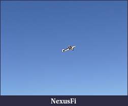Click image for larger version

Name:	P1000587.JPG
Views:	252
Size:	13.2 KB
ID:	9419