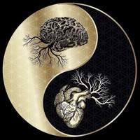 ThinkDecoded's Avatar