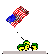 USA Flag Raise